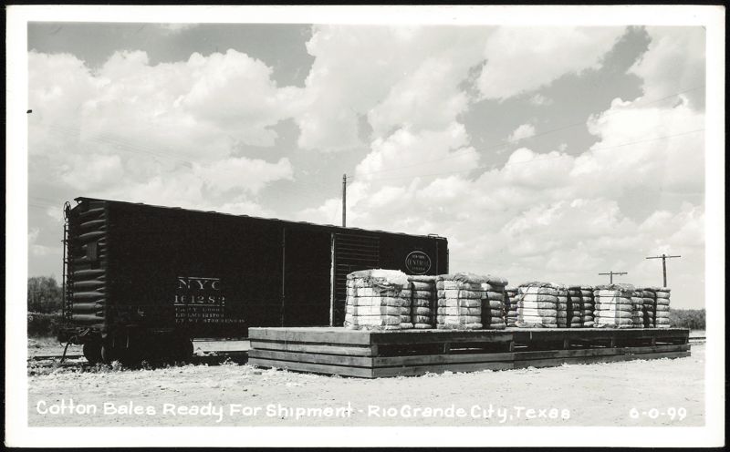 Cotton Bales Ready for Shipment with New York Central Train Car Rio Grande City Texas