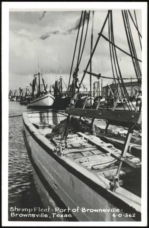 Shrimp Fleet - Port of Brownsville Texas