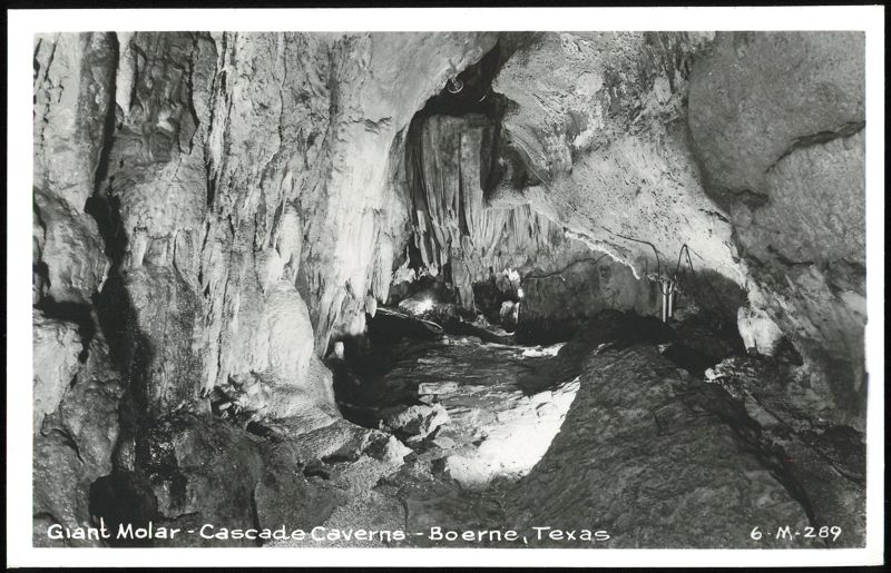 Giant Molar - Cascade Caverns Boerne Texas