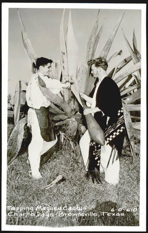 Tapping Maguey Cactus, Charro Days Brownsville Texas