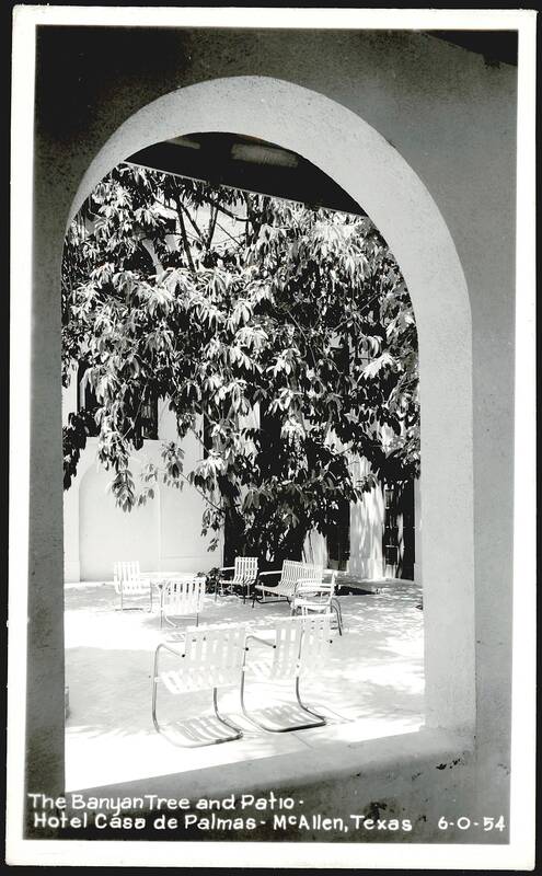 The Banyan Tree and Patio, Hotel Casa de Palmas McAllen Texas