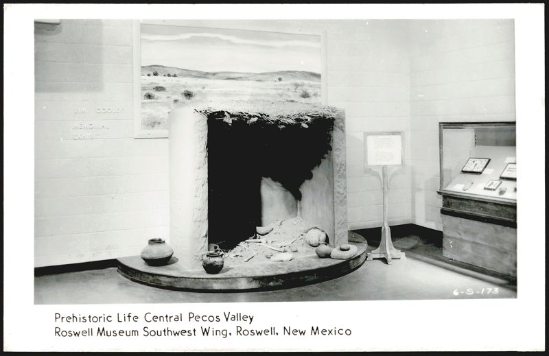 Prehistoric Life Central Pecos Valley Exhibit, Roswell Museum New Mexico