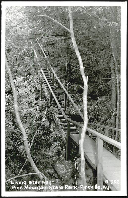Living stairway, Pine Mountain State Park Pineville Kentucky