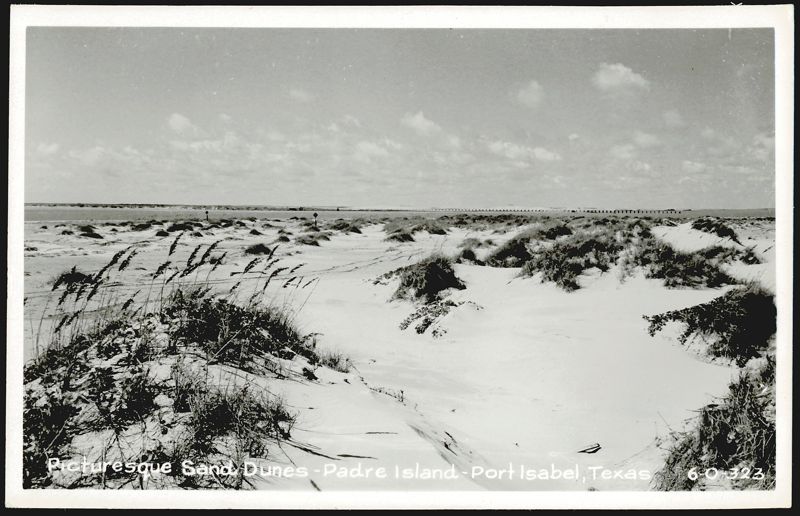 Picturesque Sand Dunes - Padre Island - Port Isabel, Texas
