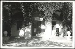 Witte Museum, Breckenridge Park Postcard