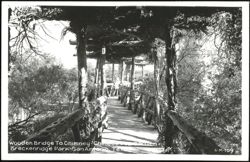 Wooden Bridge To Chimney - Chinese Garden, Breckenridge Park Postcard