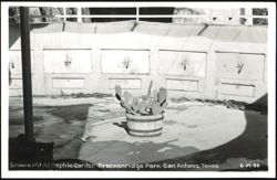 Snake Pit At Reptile Garden, Breckenridge Park Postcard