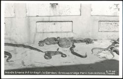Inside Snake Pit At Reptile Garden Breckenridge Park Postcard