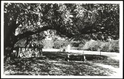 Convent Garden, San Antonio, Texas Postcard