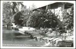 The San Antonio River in the Heart of the City Postcard