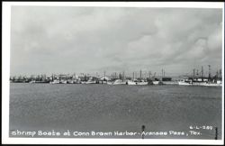 Shrimp Boats at Conn Brown Harbor Postcard