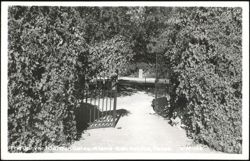 The Convent Garden Gates, Alamo Postcard