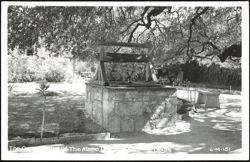 The Original Well Of The Alamo Postcard