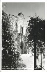 The Alamo and Courtyard Postcard