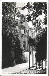 The Alamo and Courtyard Postcard