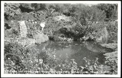 Chinese Sunken Garden, Breckenridge Park Postcard