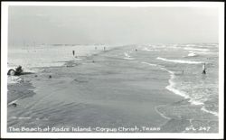 The Beach at Padre Island Postcard