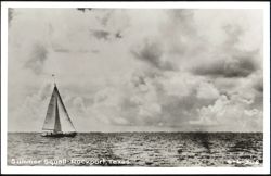 Summer Squall Postcard