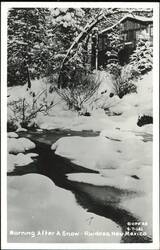 Morning After A Snow Postcard