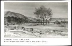 November Twilight by Peter Hurd Postcard