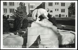 Bronco Statue at New Mexico Military Institute Postcard