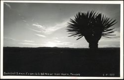 Sunset on U.S. 80 with Desert Landscape and Yucca Silhouette Postcard