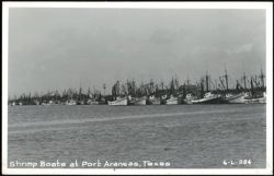 Shrimp Boats Docked in Harbor Postcard