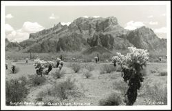 Signal Peak near Quartzite, Arizona Postcard