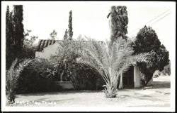 City Hall Building Postcard