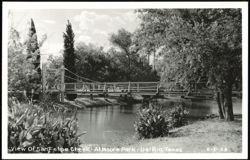 View of San Felipe Creek at Moore Park Postcard