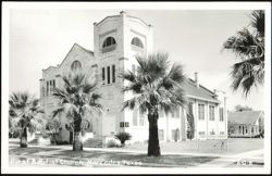 First Baptist Church building with palm trees Postcard