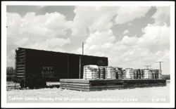 Cotton Bales Ready for Shipment with New York Central Train Car Postcard