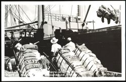 Cotton Loading at Port of Brownsville, Texas Postcard