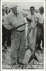 Stock #1181151 Thumbnail