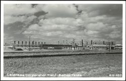Celanese Corporation Plant Postcard