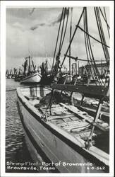 Shrimp Fleet - Port of Brownsville Postcard