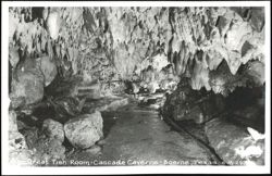The Great Tish Room - Cascade Caverns Postcard