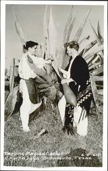 Tapping Maguey Cactus, Charro Days Postcard