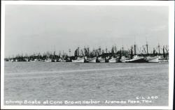 Shrimp Boats at Conn Brown Harbor Postcard