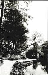 River Walk Downtown Postcard