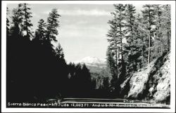Sierra Blanca Peak and U.S. 70, Ruidoso, New Mexico Postcard