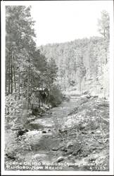 Scene On Rio Ruidoso (Noisy River) Postcard
