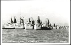 Fishing Fleet at Port Aransas, Texas Postcard