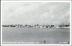 Shrimp Boats at Port Aransas Postcard