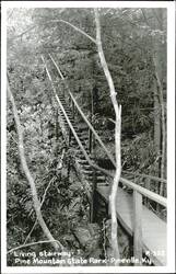 Living stairway, Pine Mountain State Park Postcard