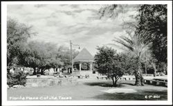 Florita Plaza with Gazebo and Picnic Tables Postcard