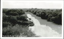 Nueces River, Cotulla, Texas Postcard