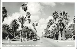A Palm Lined Street - Mercedes, Texas Postcard
