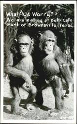 Stock #1181456 Thumbnail