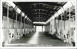 Racing Stable - King Ranch Postcard